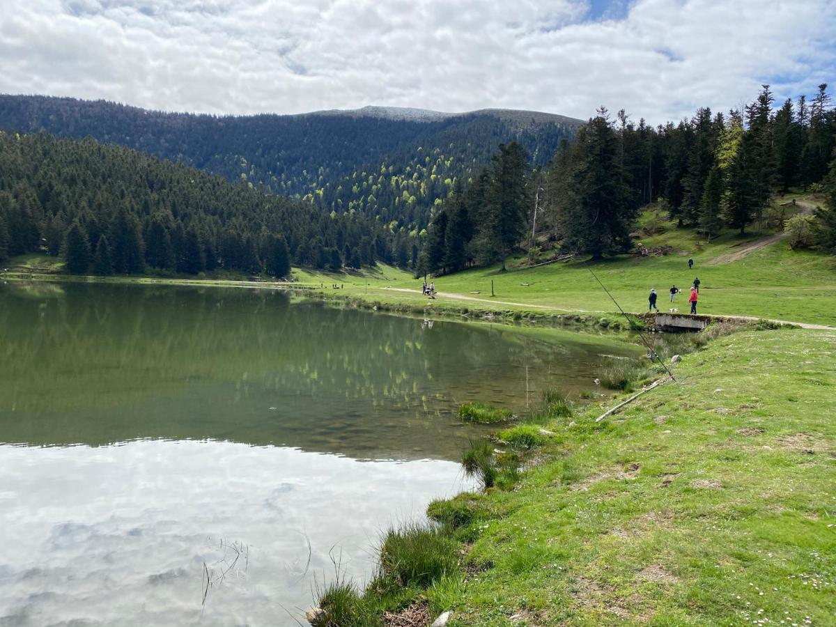 Gite Chaleureux Au Lac De Payolle Campan Ngoại thất bức ảnh